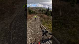 Buddy Chase At Dyfi ‘Turns In The Ferns’ 👌 #Mtb #Mtbdownhill #Gopro12