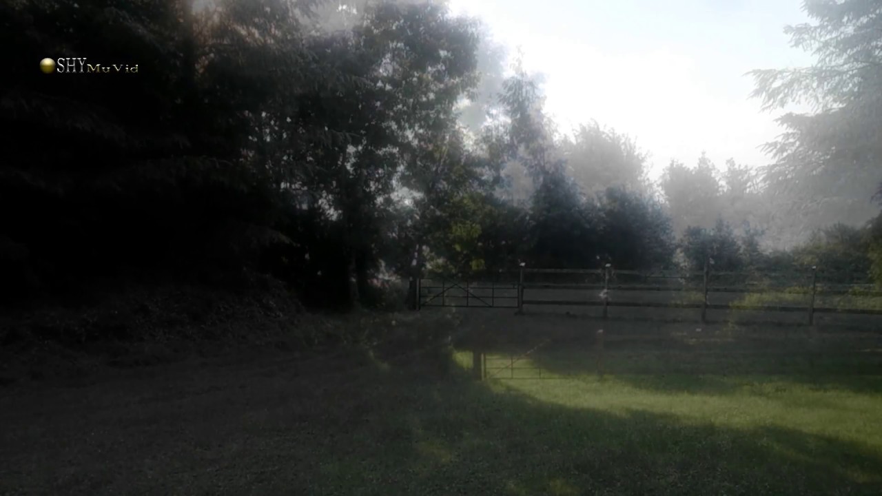 DAYBREAK by Philip Orford & Seamus Hyland