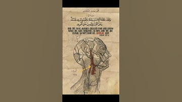 القارئ محمد صديق المنشاوي|سورة ق| الآية(١٦)#القرآن_الكريم #صل_على_النبي #صلي_قبل_ان_يصلى_عليك#سورة_ق