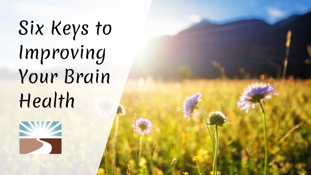 Six Keys to Improving Brain Health