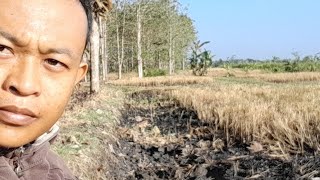 Download Lagu NjugiLi Lemah Baon  Musim Ketigo With #ROMO# MP3