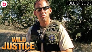 Wild Justice: California | Season 1 Episode 9 (2010) | FULL EPISODE Guide