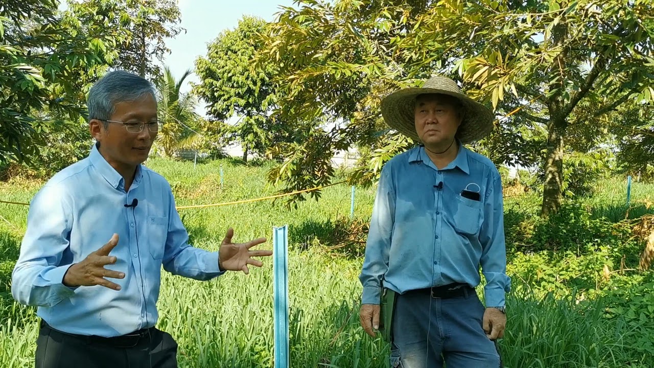 SifuLim& Mr Kong Perkongsian Pengalaman Manis Pahit榴莲园主江先生分享心路历程Mr Kong’s Farming Challenges Sharing