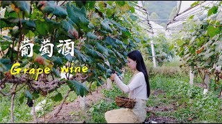 Chinese Food | Homemade grape wine 姑娘在家自釀了葡萄酒，做法簡單，發酵30天沒想到這麼好喝 | 秦玖兒Qinjiuer