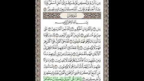 شيخ التجويد محمد يس/ سورة يس/ آية 12