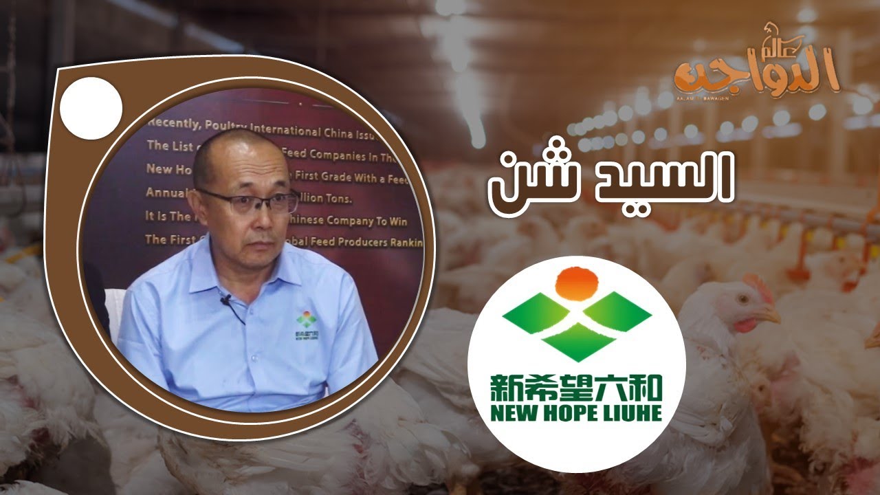 العلف والكتكوت شركة نيو هوب ايجبت مع السيد شن (أجرينا 2024)