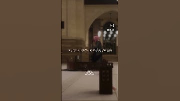 القارئ : انس العمادي