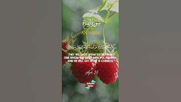 Best video of Surah An-Naba' on YouTube   38-40  (سورة النبإ) | Quranic Music