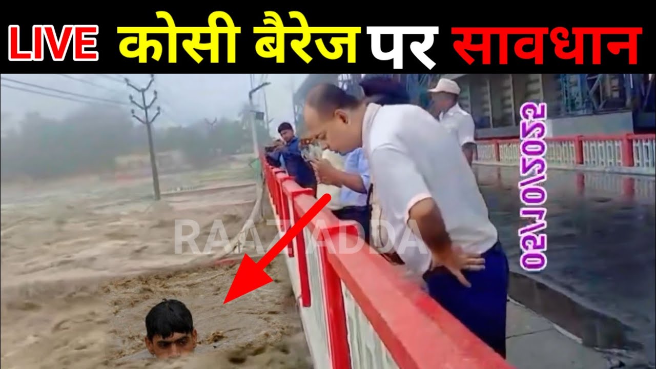 कोसी नदी का ताजा खबर koshi barrage news today Bihar flood 