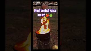 Apple Orchard me Frost Control kaise kare? 🍎