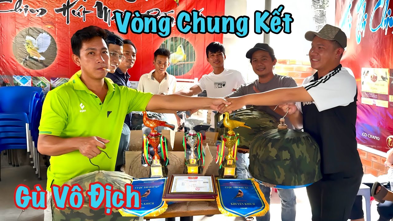 Vòng Đặt Biệt Đếm Gù Chọn Chim Vô Địch ( Malay hay Việt Lên Ngôi.? )