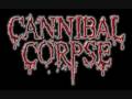 Cannibal Corpse &quot;Endless Pain&quot; (Kreator Cover)