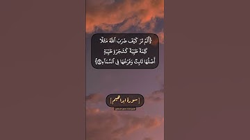 سورة ابراهيم الآية ٢٣ الى ٢٥ بصوت الشيخ محمد صديق المنشاوي