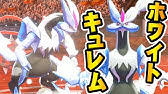 ポケモン剣盾 キテルグマ ヌイコグマ の出現場所 入手方法 タイプ ノーマル かくとう 実況解説 ソード シールド ニャン速ちゃんねる Youtube
