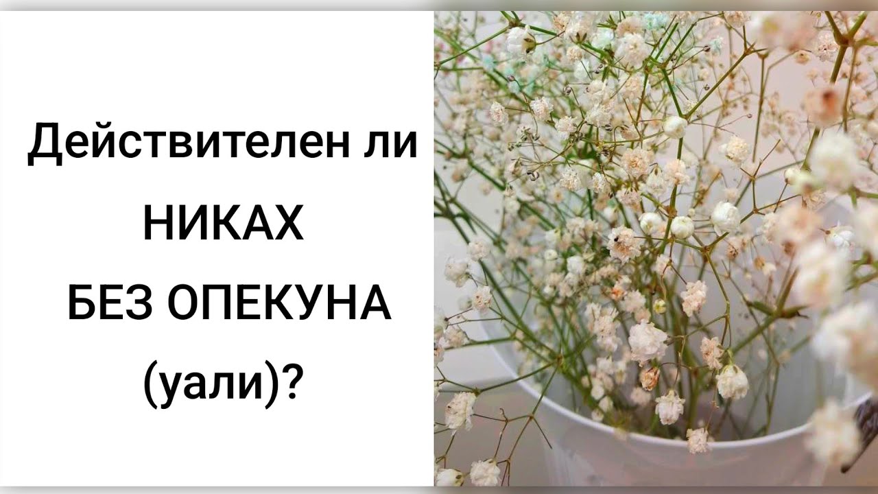 Действителен ли НИКАК БЕЗ ОПЕКУНА (уали)? Никах по ханафитскому мазхабу без уали. Ринат абу Мухаммад