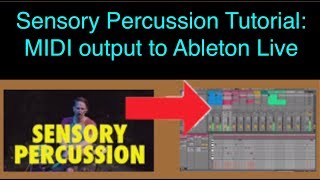 Sensory Percussion: MIDI output to Ableton Live Introduction