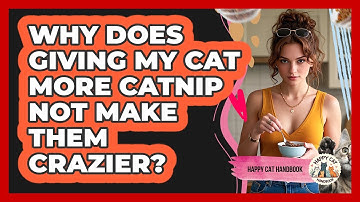 Why Does Giving My Cat More Catnip Not Make Them Crazier? - Happy Cat Handbook