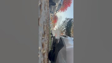 Mbrp secondary cat back delete Camaro SS cold start