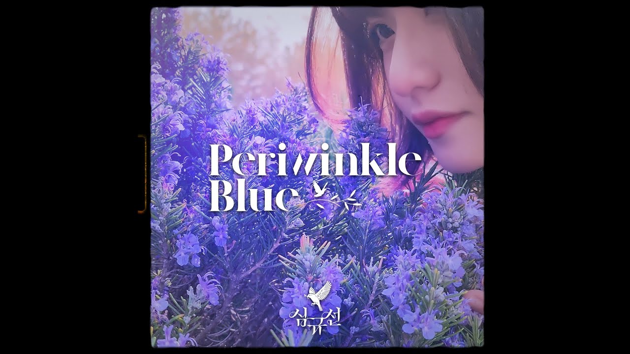 [MV] 심규선 - Periwinkle Blue (with Roommate)