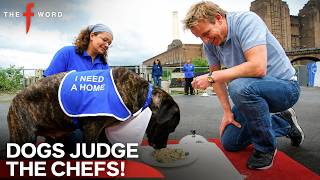 Gordon Turns Chef Recipes Into Dog Food! | The F Word Season 2 Episode 2
