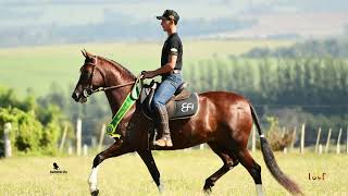 Francesca Jeyms porno onlayn Tukli pussies bilan mast mast