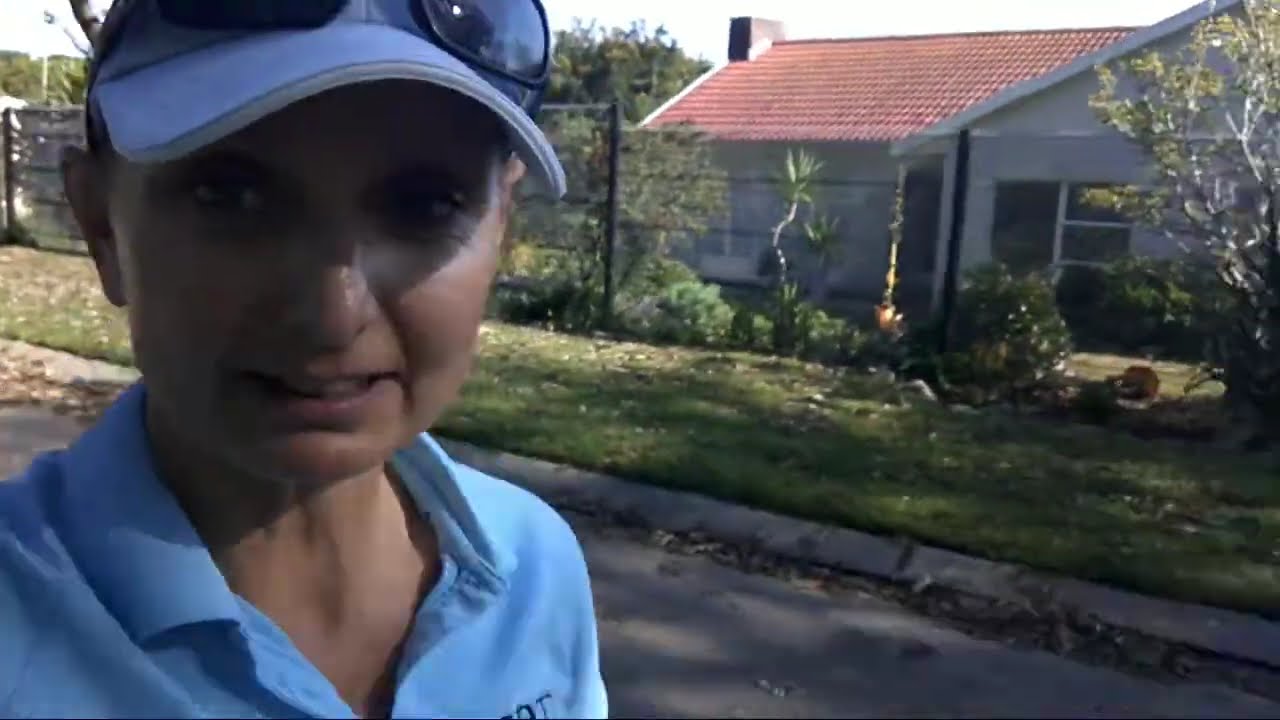 Bespoke Dog Training That Works | Real Behaviour Results | Executive Dog Training South Africa