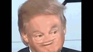 Donald Trump Derp face