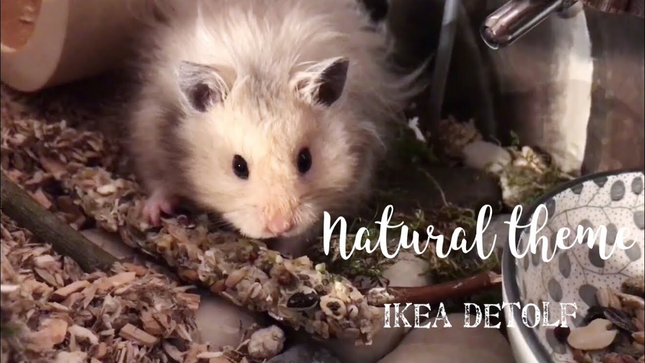 Rearranging Ikea Detolf hamster cage | natural theme