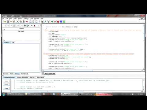 Patrick Martyn - Java; Scanner1