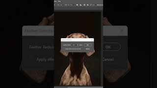 How to Create a Spotlight Effect in Photoshop! (Easy Tutorial)
