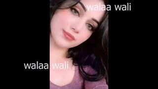 حميد الشاعري   وين ايامك وين‬1