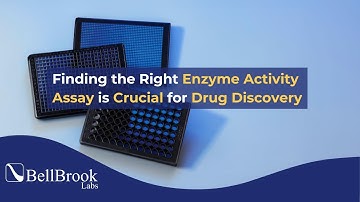 Finding the Right Biochemical Assay for HTS and Lead Discovery