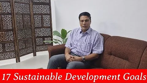 17 Sustainable Development Goals Explained | Building a Better Future for All