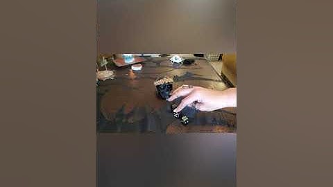 Dice Divination With The Bayou Bruxa !