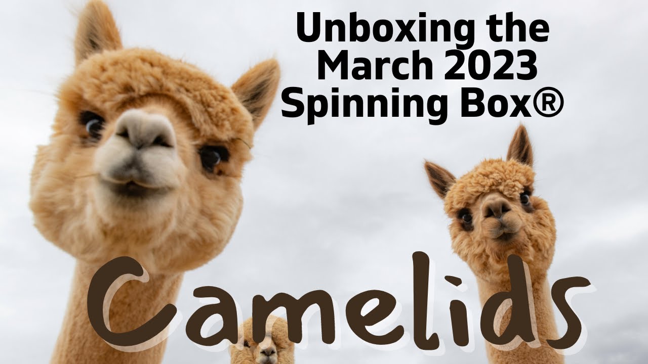 Unboxing the Spinning Box® March 2023 Camelids. Camaj Fiber Arts YouTube
