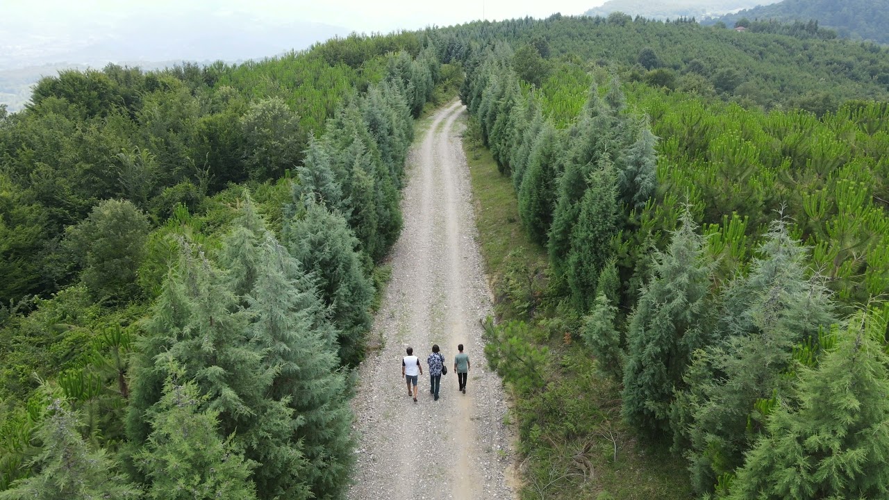 Örmeci Köyü Catalmeşe mevki ve Tavukcuoğlu mahallesi