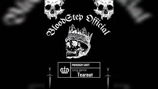 BloodStep - Paradigm Shift