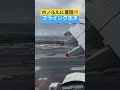 ホノルルダニエルKイノウエ国際空港着陸シーン‼️ #着陸 #フライングホヌ #ハワイ旅 #ハワイ