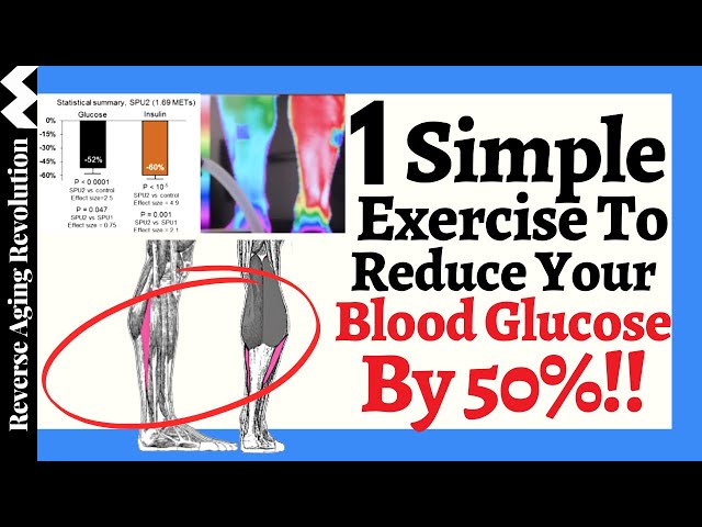 The BEST Exercise To REDUCE Your Blood Glucose?? class=