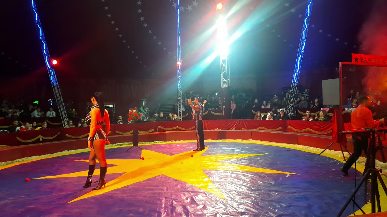 Circus Americano Vargas 2021 season Hungary