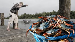 CRABBING from a Public Boat Launch ( and it finally paid off )