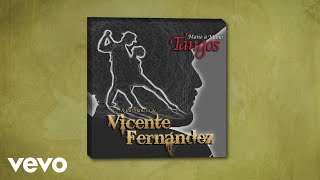 Video thumbnail of "Vicente Fernández - En Esta Tarde Gris (Cover Audio)"