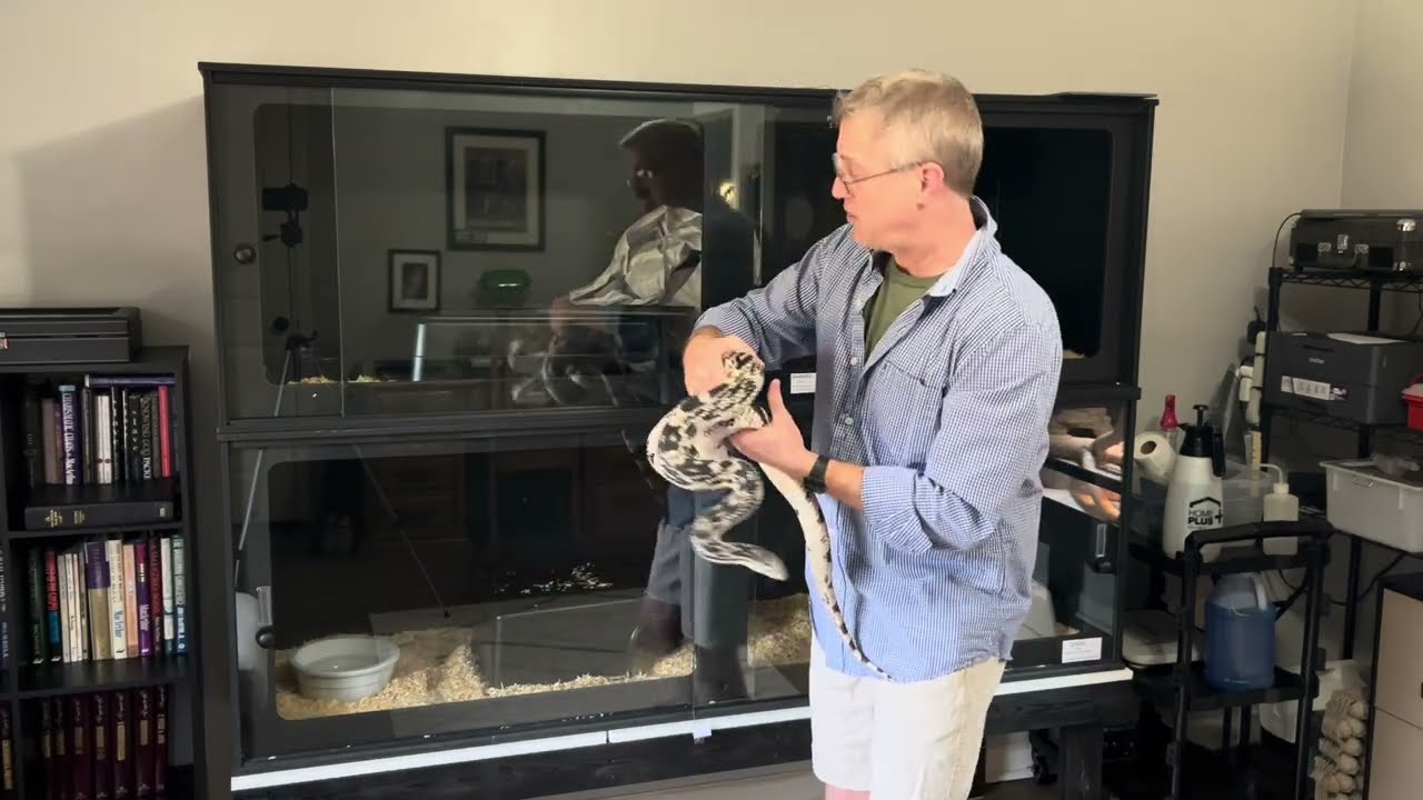 Банши и Призрак