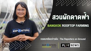 สวนผักดาดฟ้า | The Reporters