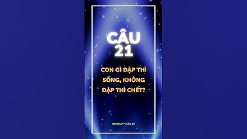 Câu 21 - Mỗi ngày 1 câu đố vui  #short #shorts