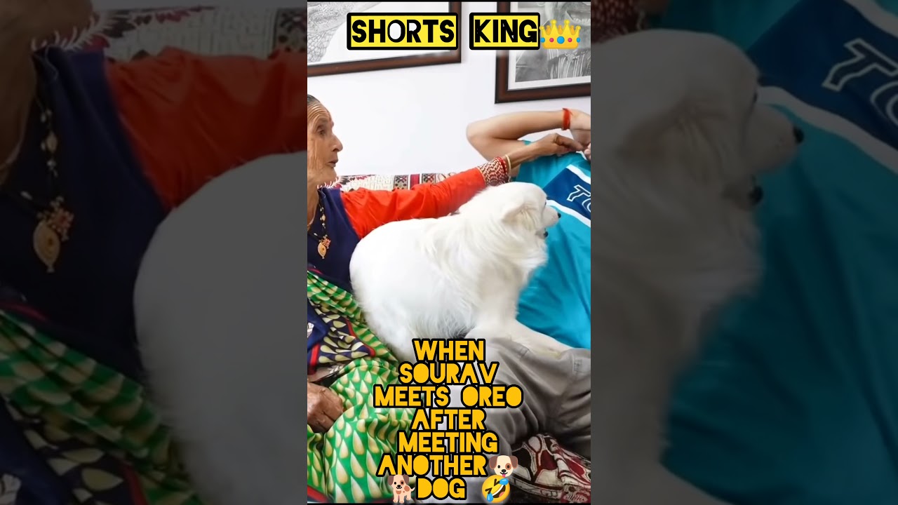 Oreo reaction 😂 when Sourav Joshi meets another dog / Oreo status souravjoshivlogs 