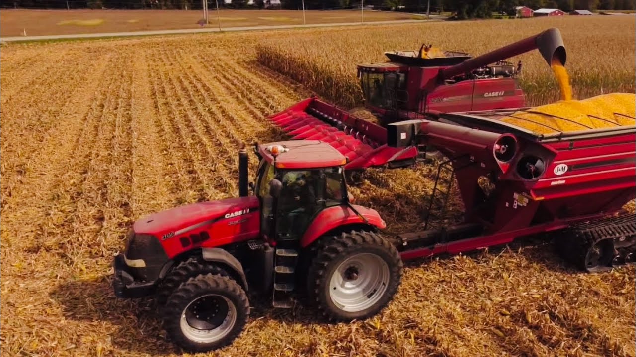 28% Corn Harvest 2021