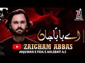 Aye baba jaan  zaigham abbas rizvi  muharram nohay 2023