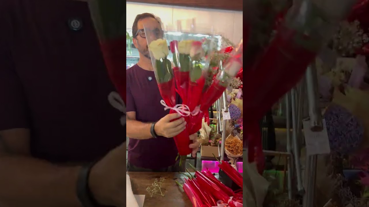 Poli Coreano Premium Translúcido Solitário Fosco/Brilho