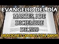 Evangelio del día Martes, 1 de Diciembre de 2020 - Jesús, se llenó de la alegría del Espíritu Santo